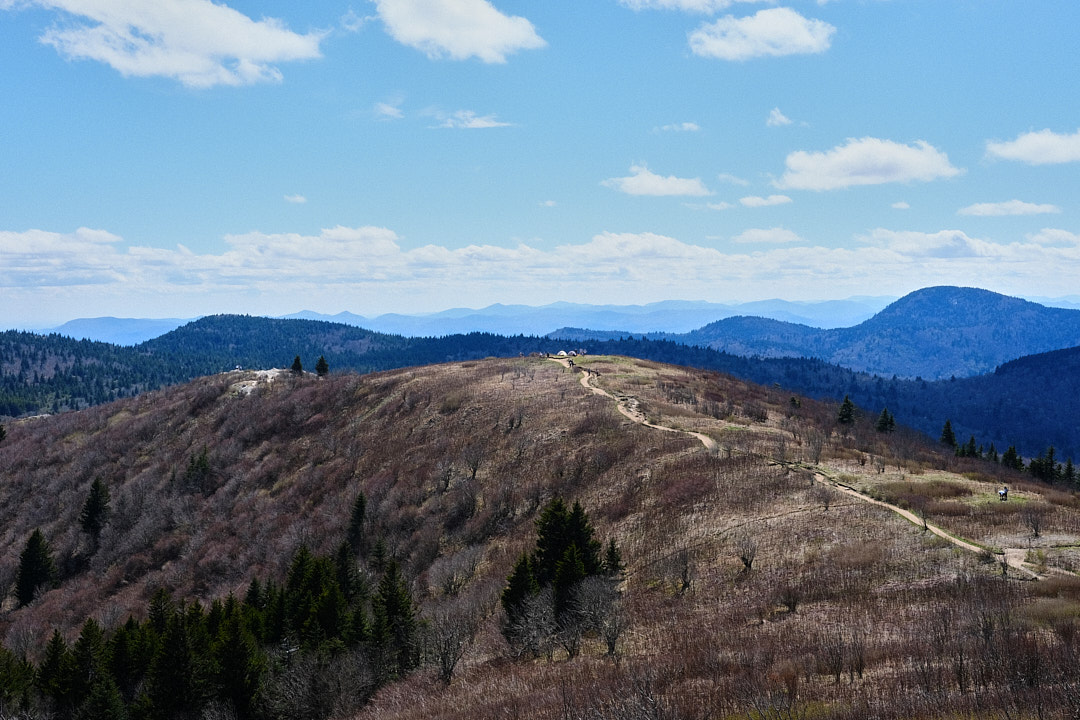 Picture of the Blue Ridge Mountains from Black Balsam Knob taken by Virginia Bauman in 2023